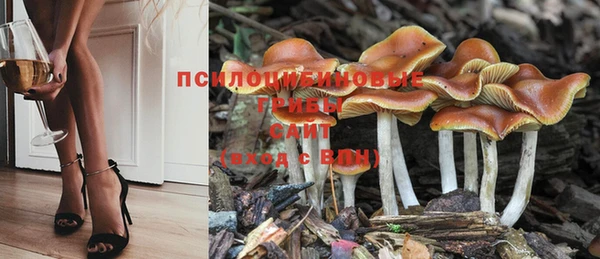 герыч Нефтекумск