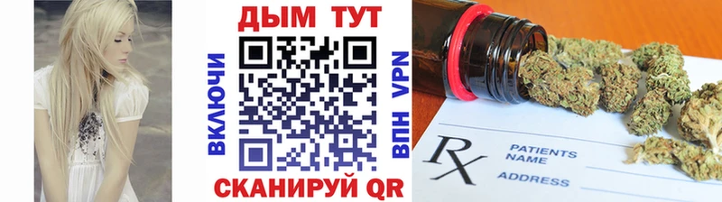 сайты даркнета какой сайт  Щёлково  Конопля SATIVA & INDICA  что такое наркотик 